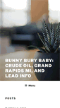 Mobile Screenshot of bunnyburybaby.com